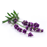 Bio Yogamatten-Reiniger - fresh lavender - 500 ml