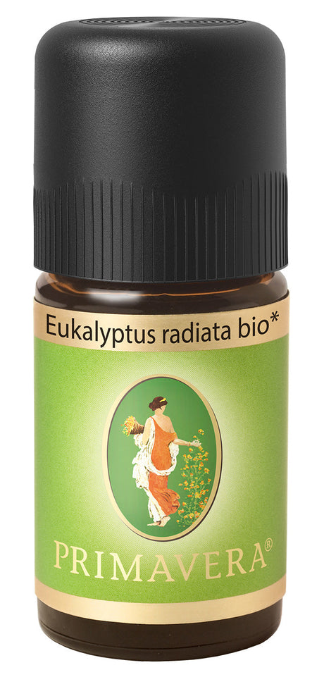 Bio Eukalyptus radiata, 5 ml - AYURDEVA