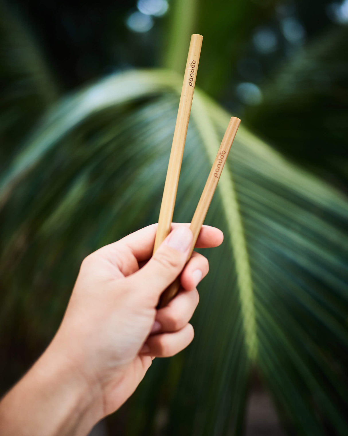 Strohhalme aus Bambus, Mehrweg, 20 cm, 12 St.