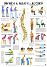 Richtig und Falsch für den Rücken - Lehrtafel 70cm x 100cm