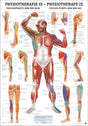 Triggerpunkte Arm und Bein (Poster 24cm x 34cm)